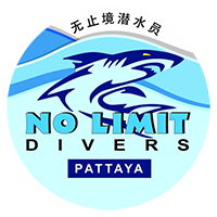 Picture of No Limit Dive