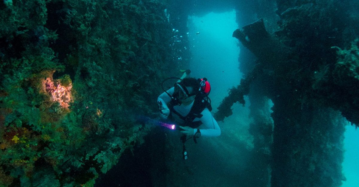 Unforgettable Wreck Diving in Pattaya