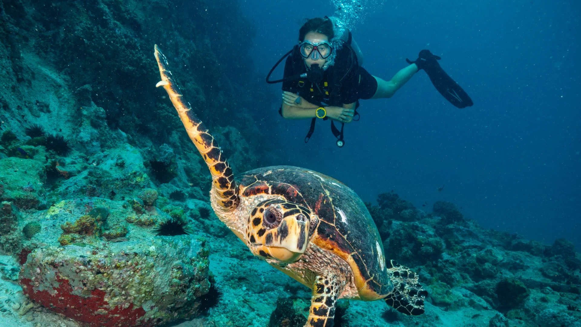 10 Powerful Techniques to Stay Calm Underwater