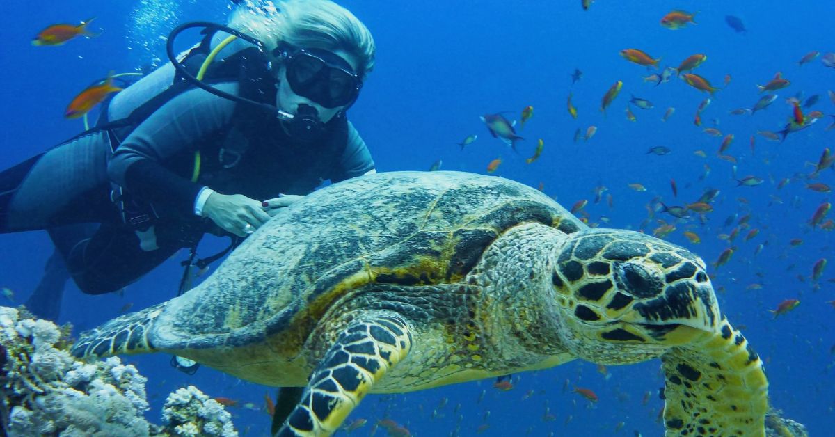 Scuba Diving in Samae San Islands