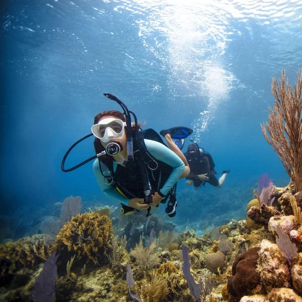 Guide Certified Divers on Dives