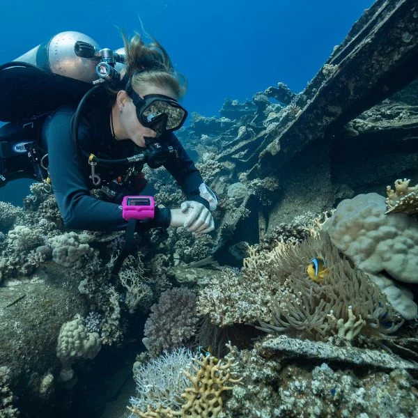Instructor leading marine conservation activities