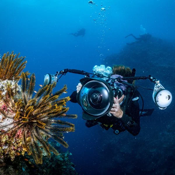Diver photographing from beneath the surface with DSLR rig