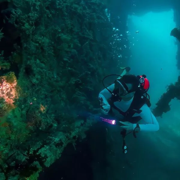 Diver entering shipwreck with torch during wreck dive