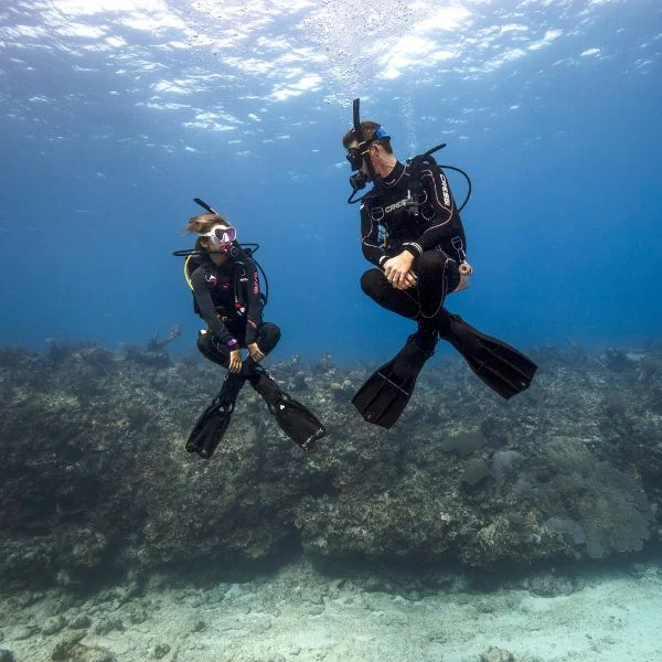 Divers hovering mid-water during buoyancy control practice