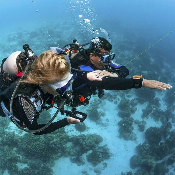 Divers practicing compass navigation underwater
