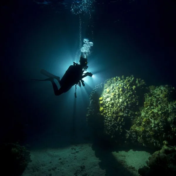 Diver illuminating reef during night dive