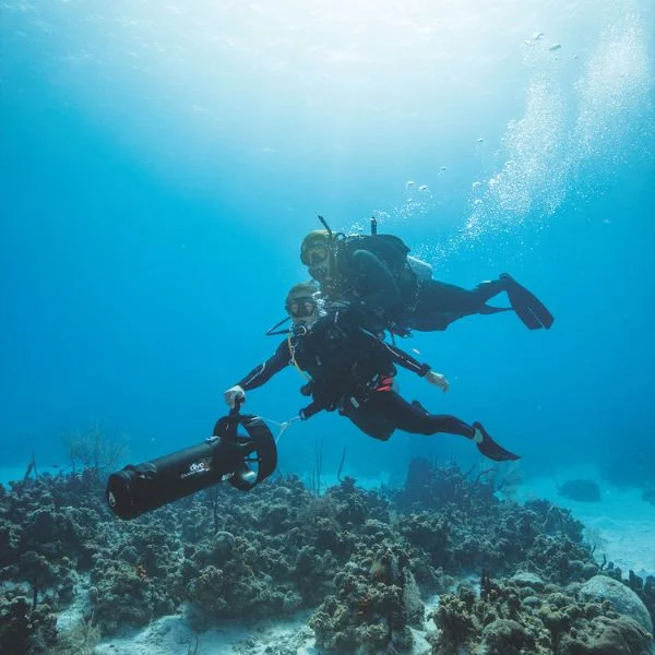 Assist on Specialty Adventures