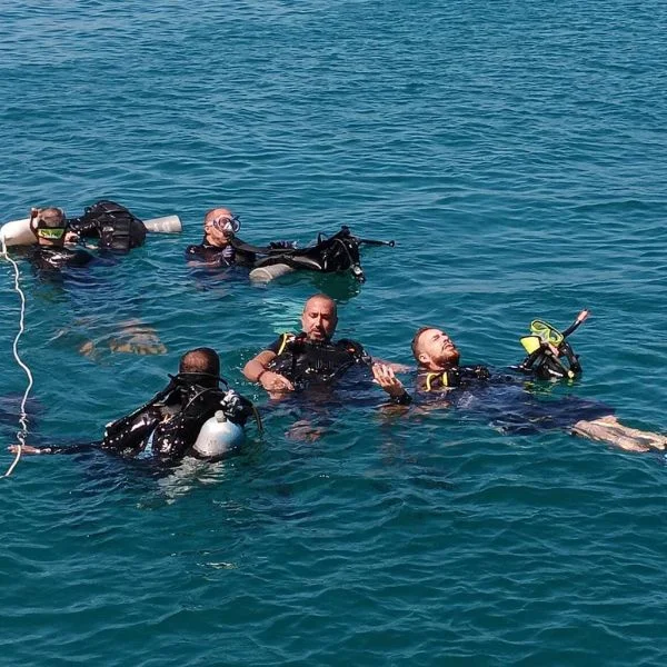 Assist with Any Diver Training