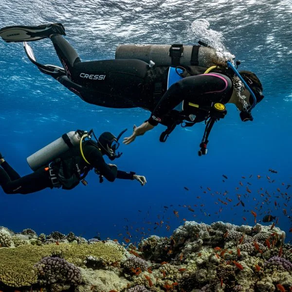 Diver using reel during underwater search pattern