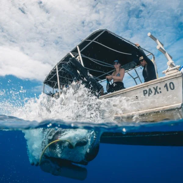 Diver entering water from dive boat on a PADI course