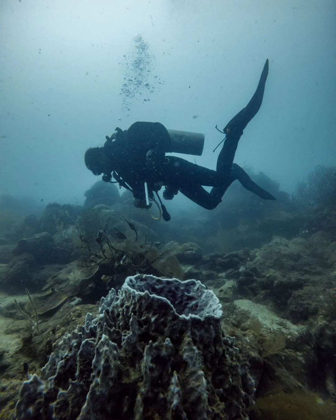 PADI Advanced Open Water Diver Course in Pattaya