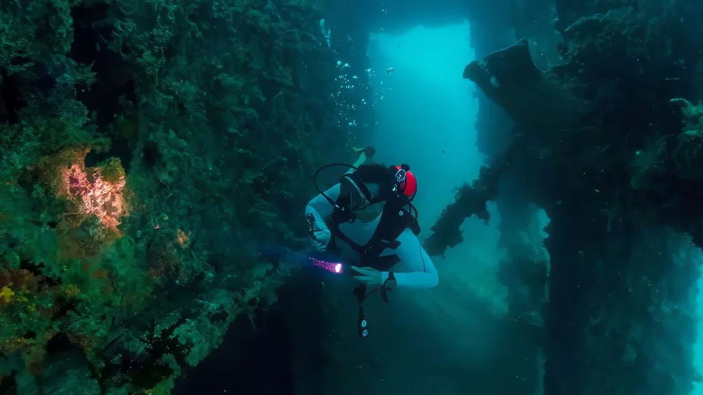 padi underwater navigator course wreck diver specialty