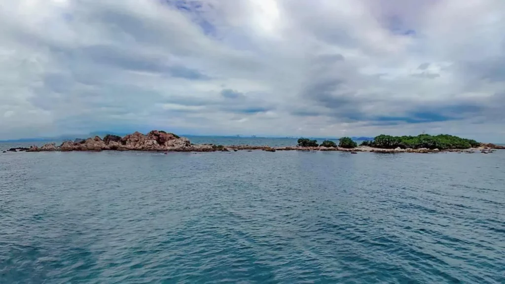 Ultimate Guide to Koh Nok Dive Site Pattaya