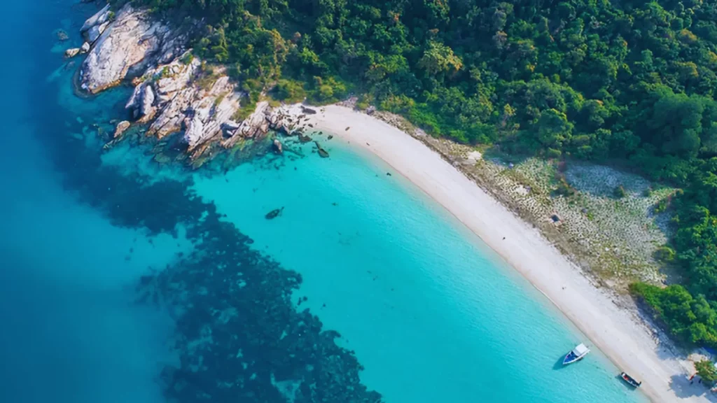 Ultimate Guide to Koh Phai Dive Site Pattaya