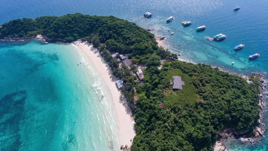 Ultimate Guide to Koh Sak Dive Site Pattaya