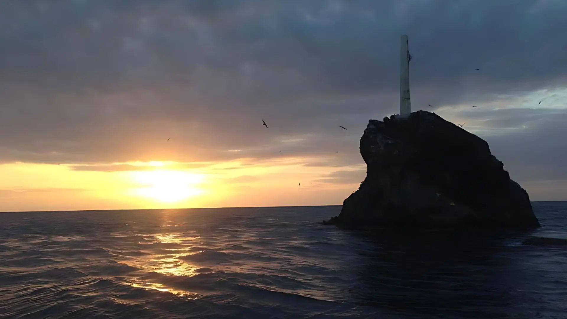 Ultimate Guide to Shark Fin Rock Dive Site