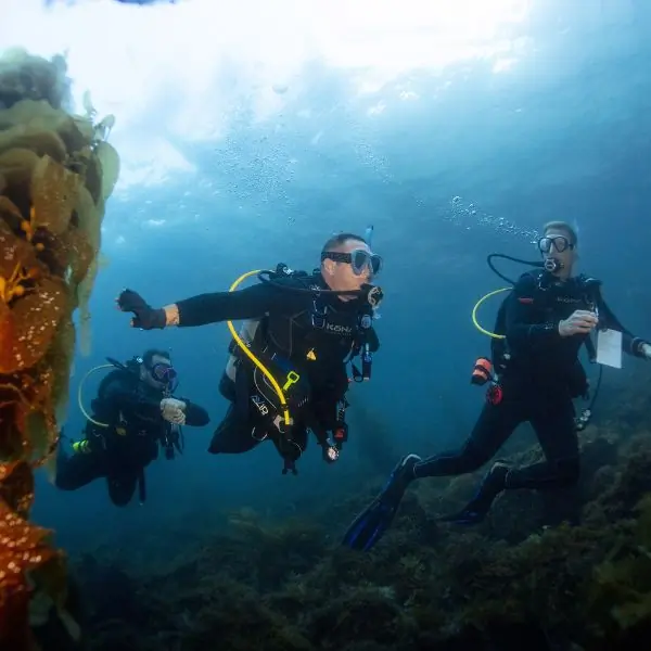 PADI Adaptive Techniques Specialty