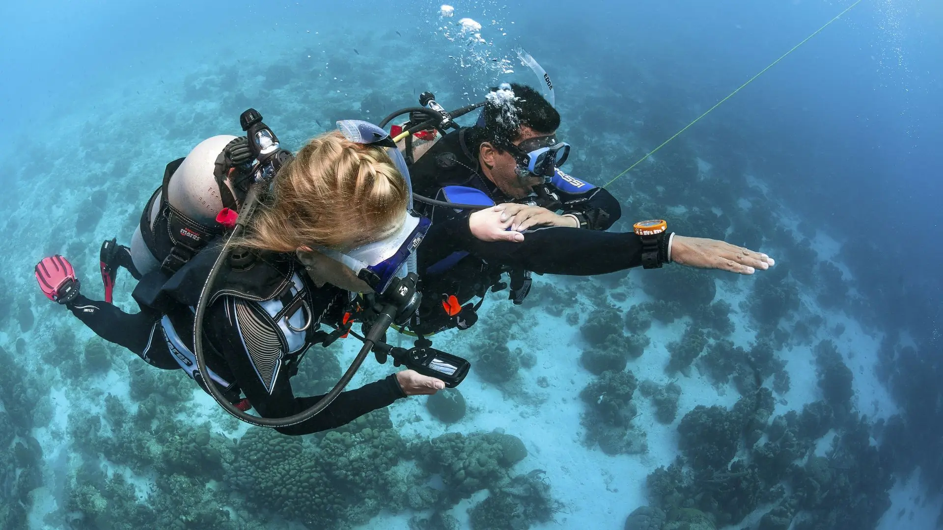Divers exploring vibrant coral reef.